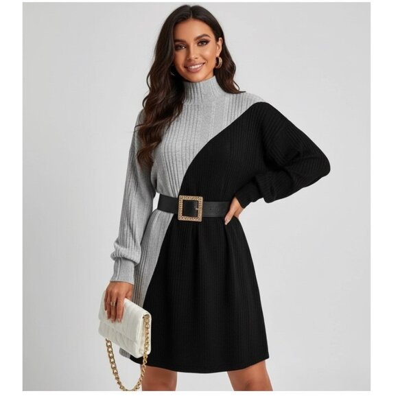 Turtle Neck Drop Shoulder Two Tone Sweater Dress - Picture 3 of 9
